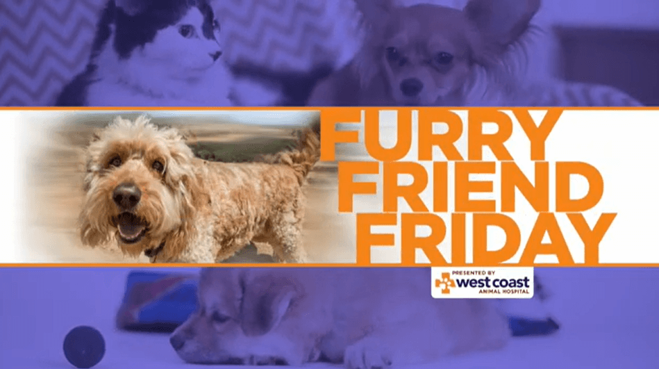 Senior Pet Care - Furry Friend Friday
