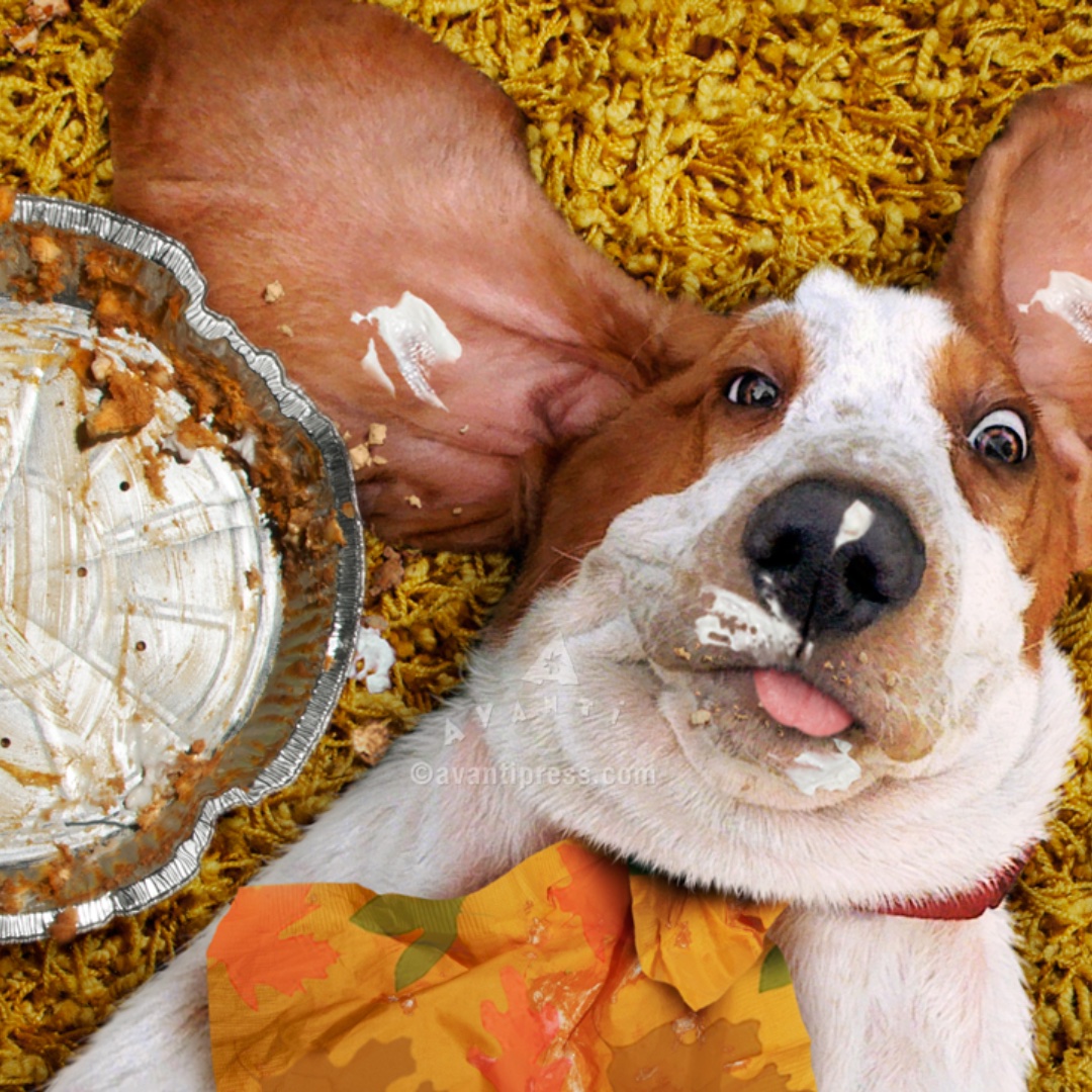 Ensuring Pet Safety: Thanksgiving Tips for Furry Friends