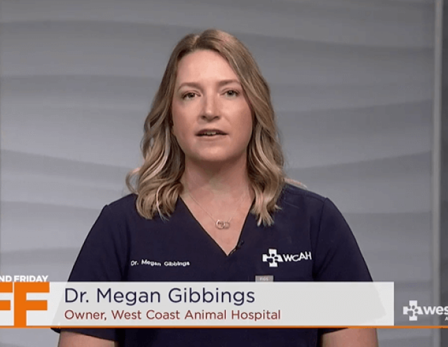 Flea and Tick Prevention - Furry Friend Friday