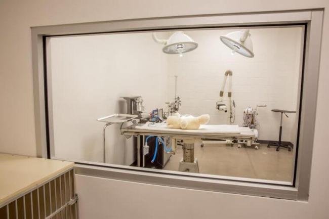 specialty surgery